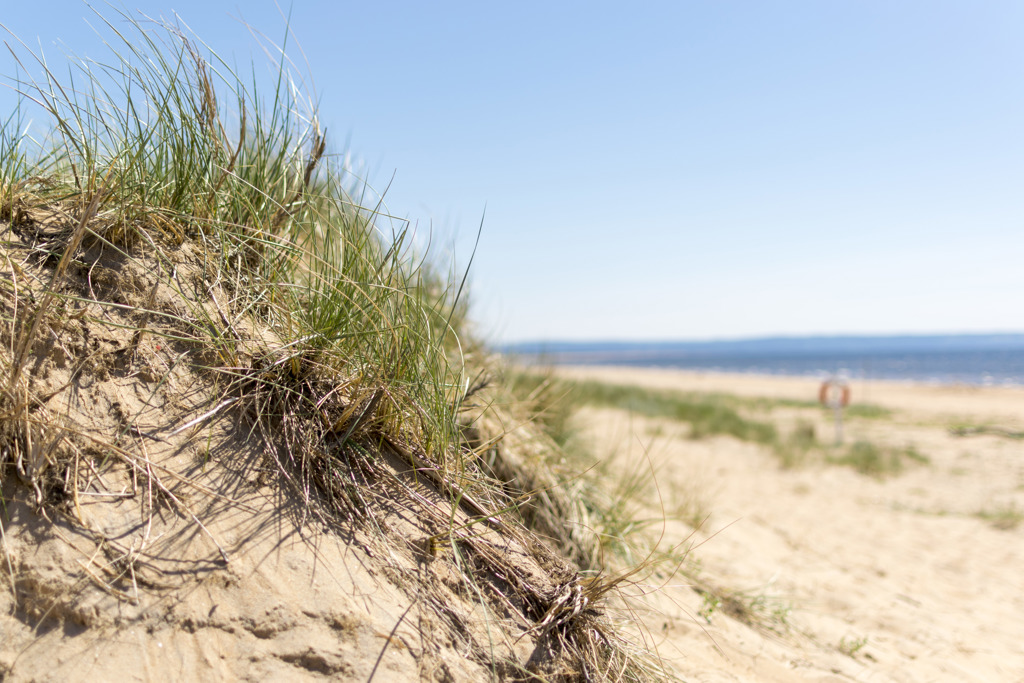 sdrahalmstad_180601_11.jpg